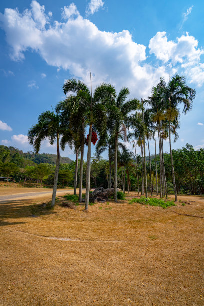 chonburi