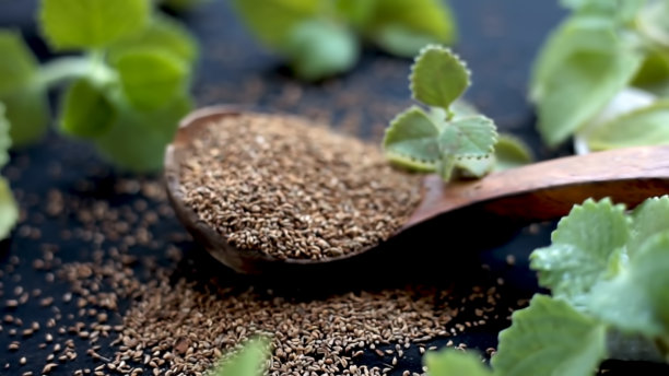 ayurveda