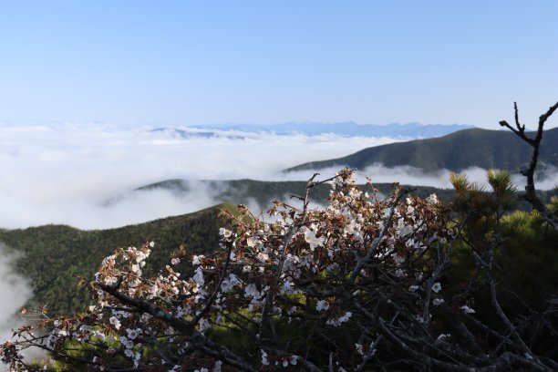 高县