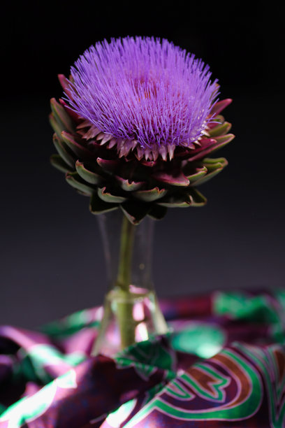 artichoke