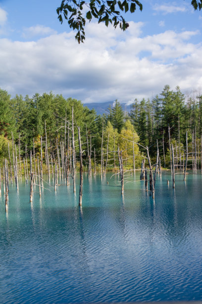 fen