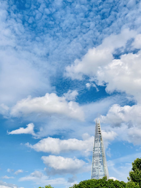 现代玻璃幕墙高楼与绿树