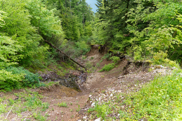 ditch