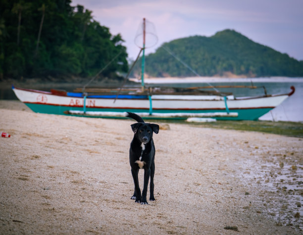 visayas