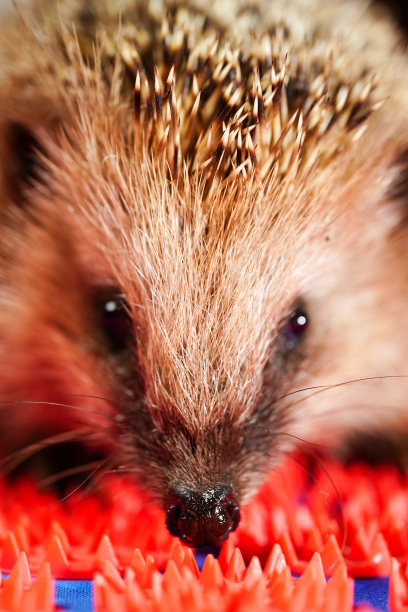 spiked