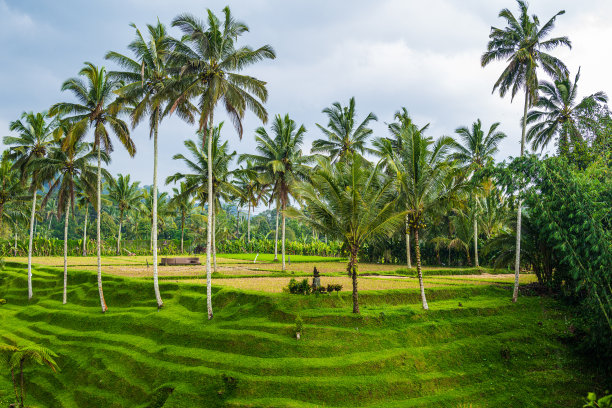 denpasar