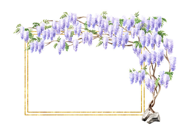 紫藤,丁香花,嫩枝