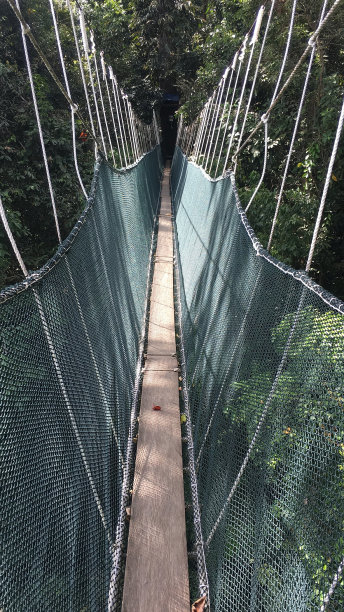 skywalk
