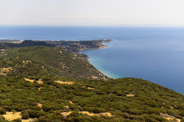 assos