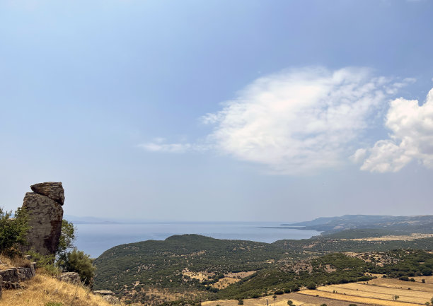 assos
