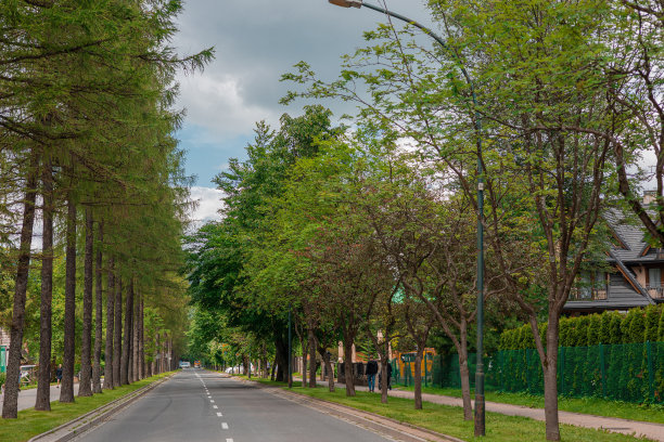 avenue