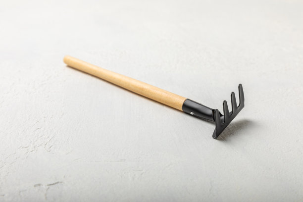 rake