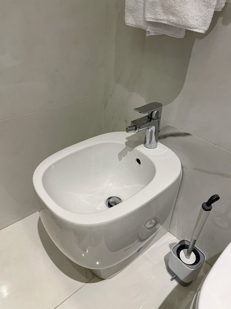 bidet