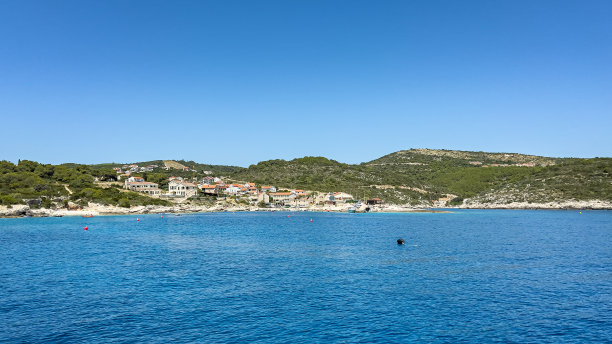 vis