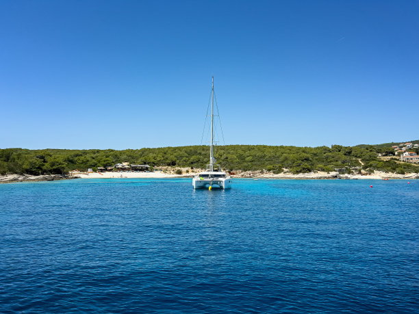 vis