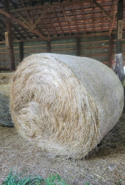 bale