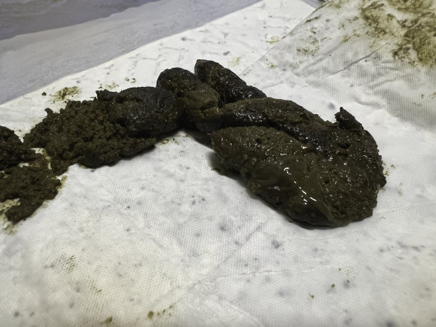 poo