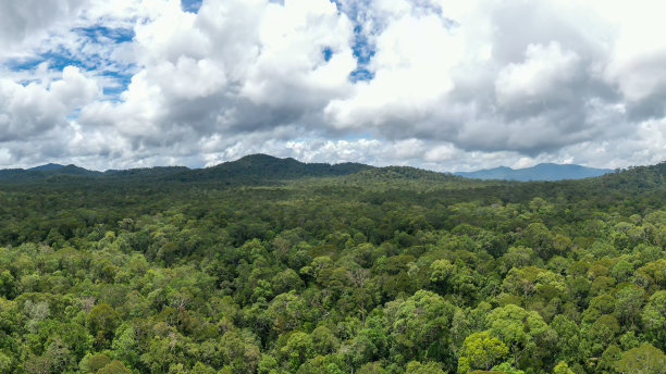 borneo