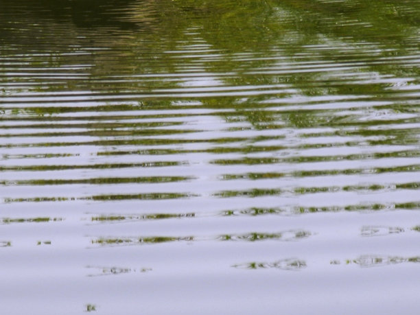 backwater