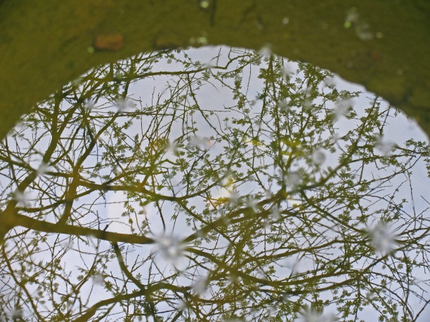 backwater