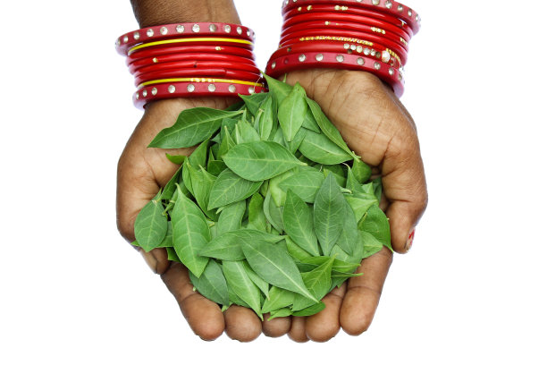 ayurveda