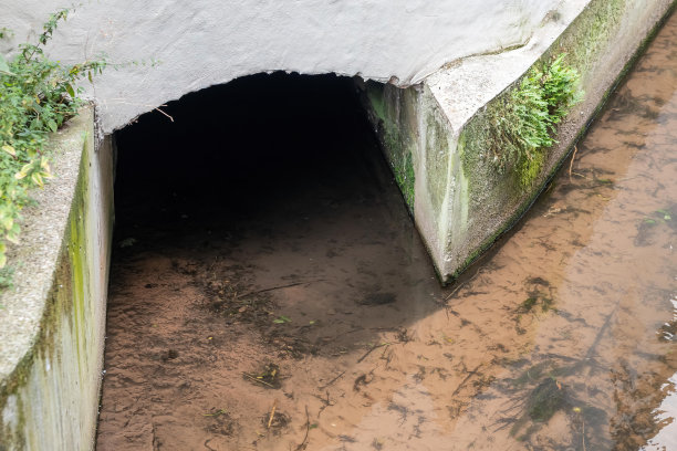 ditch