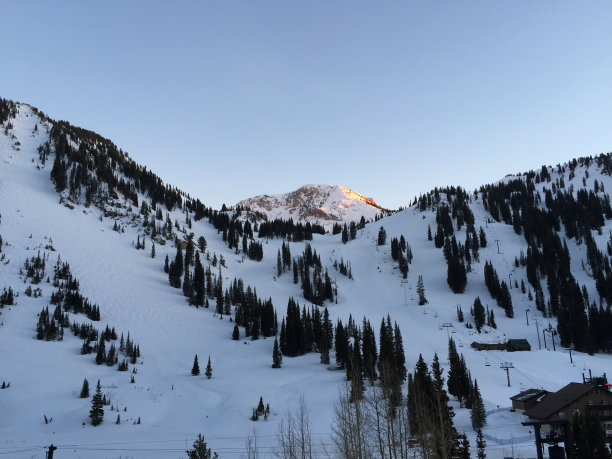 alta