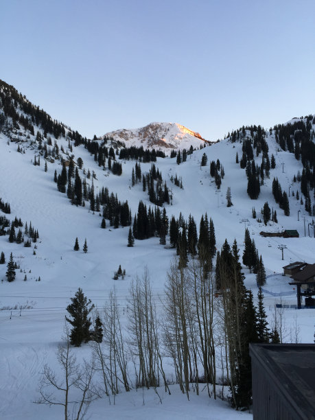 alta