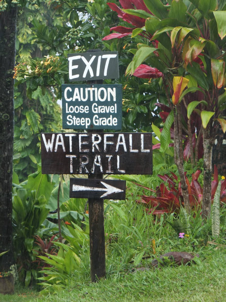 aloha