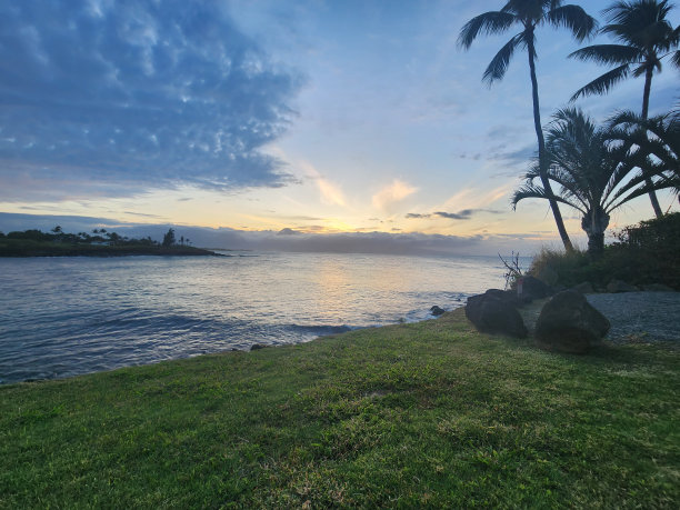aloha