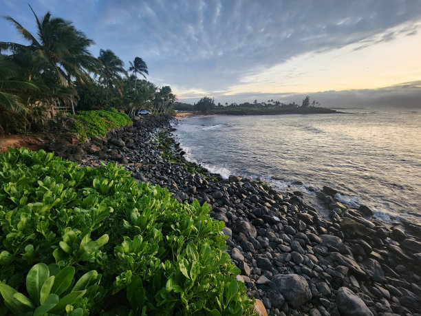 aloha