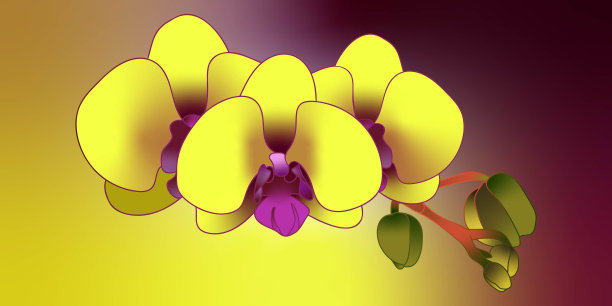 绿黄渐变圆形花纹图案