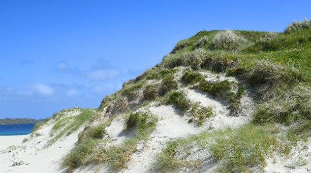 barra