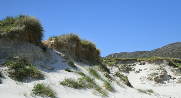 barra