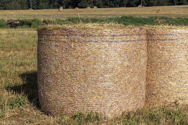 bale
