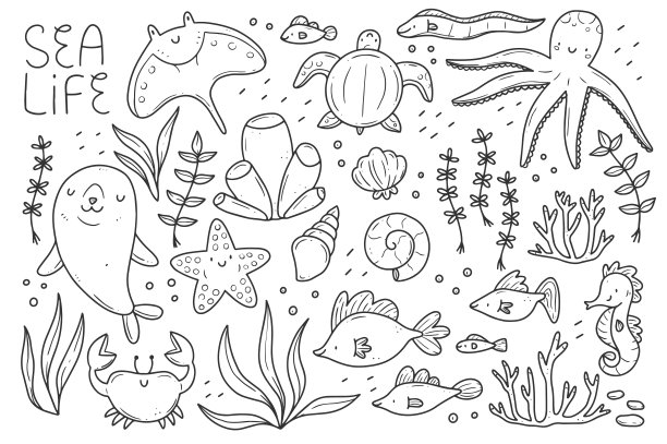 珊瑚,草图,海马