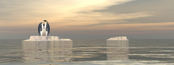 arctic