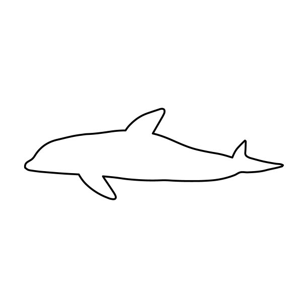 卡通条纹海豚