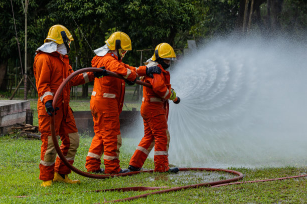 热,专业人士,软管
