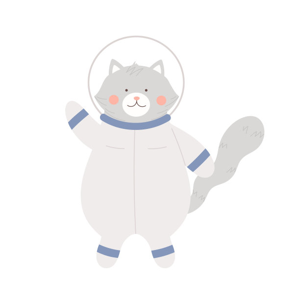 太空飞行小猫