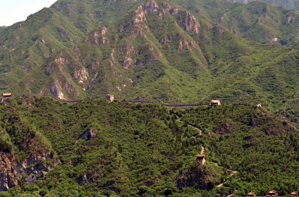 古琴风景