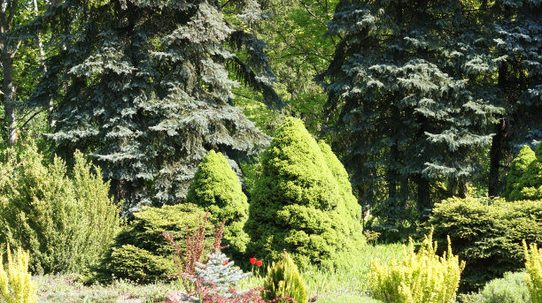 arboretum