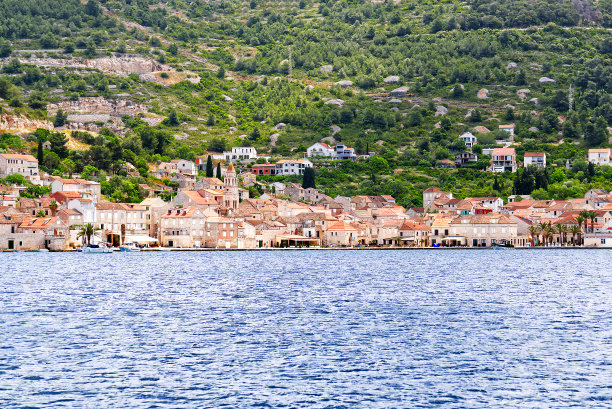 vis