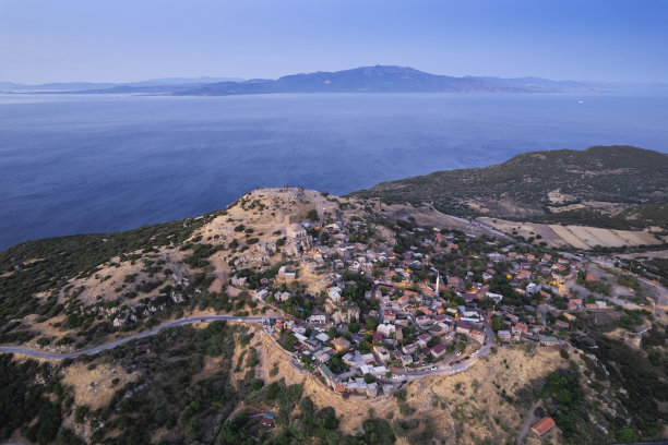 assos