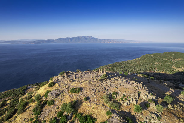 assos