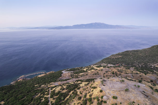 assos