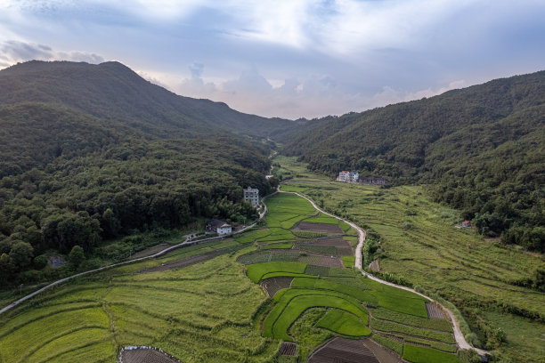 梯田线描