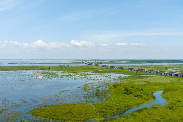 delta
