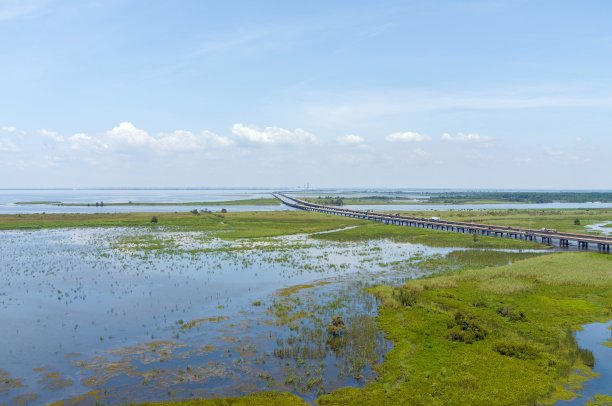 delta