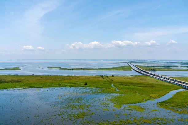delta